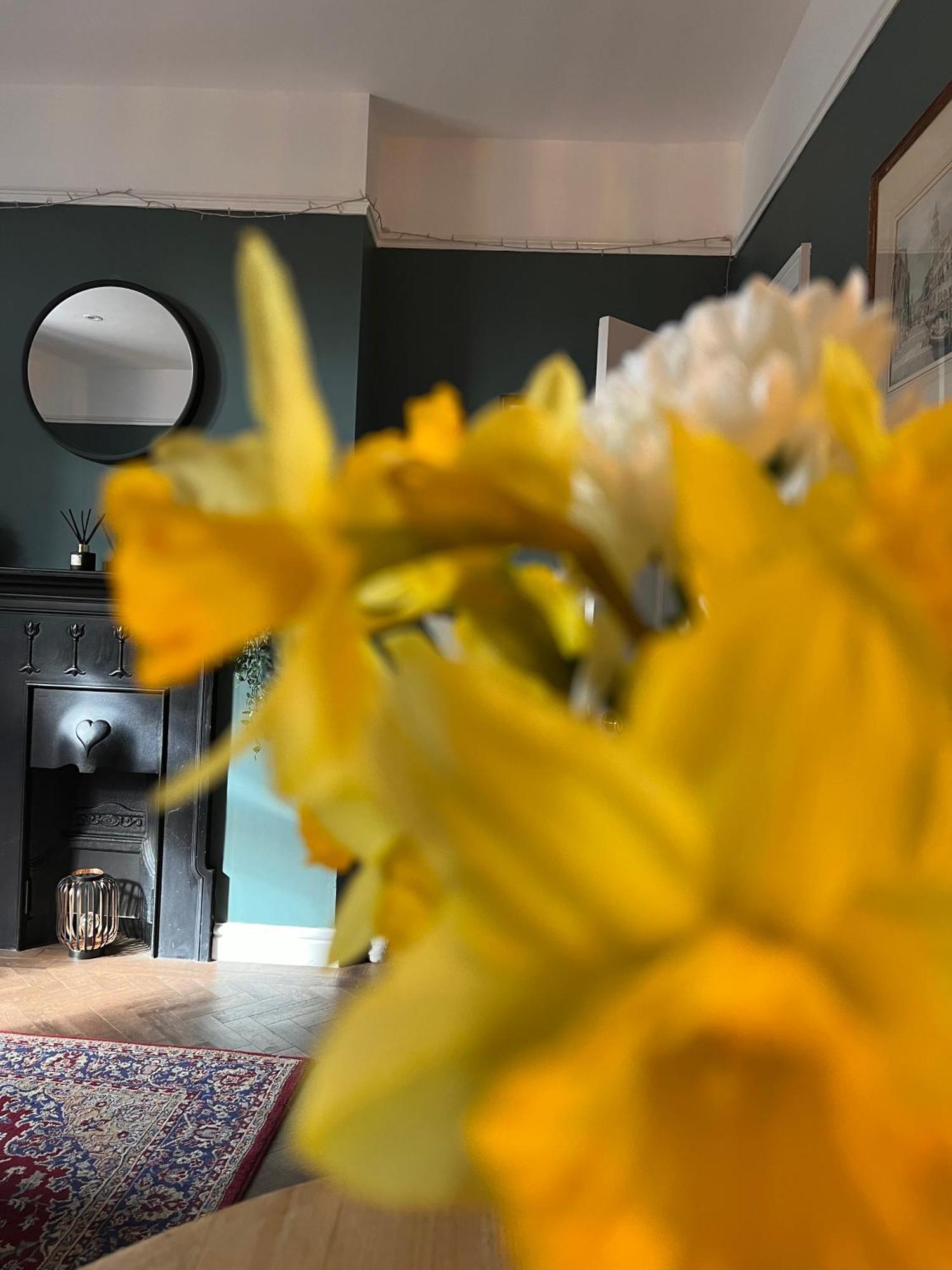 Appartement Cartref - Fully Equipped And Stunning Town Flat à Shrewsbury Extérieur photo