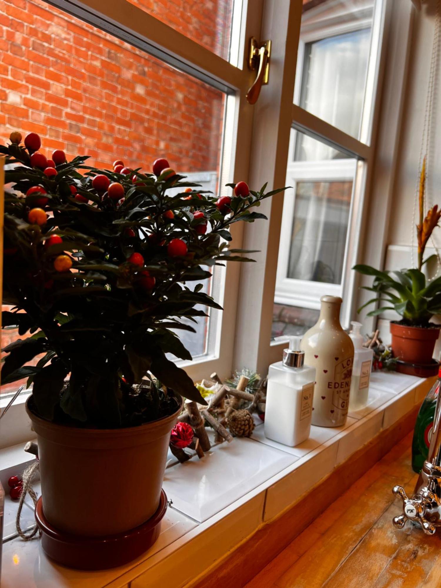 Appartement Cartref - Fully Equipped And Stunning Town Flat à Shrewsbury Extérieur photo